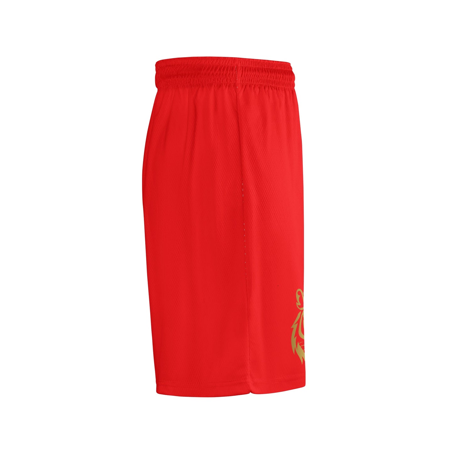 Mesh Basketball Shorts & Running Short Pants