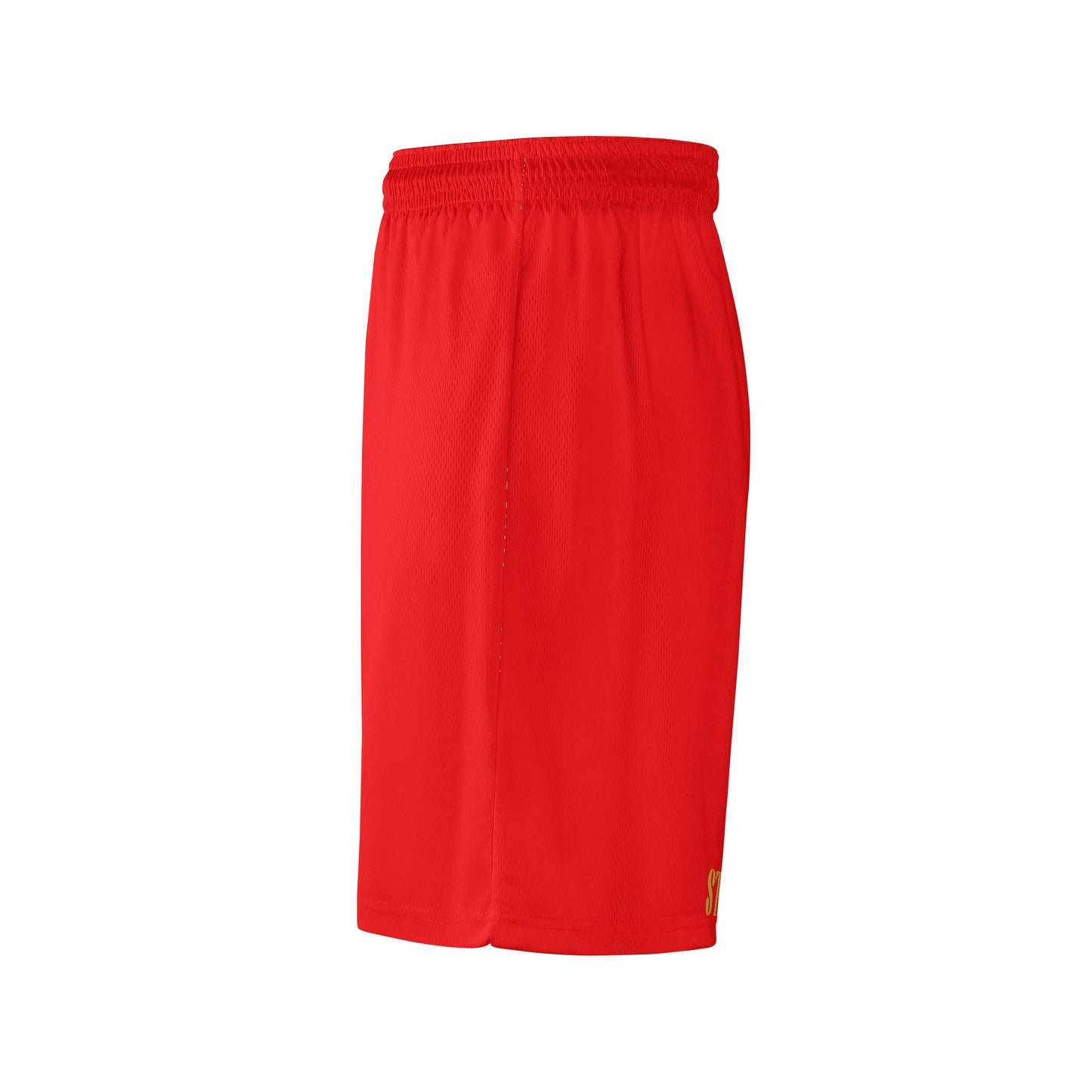 Mesh Basketball Shorts & Running Short Pants